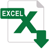 excel 100