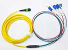 MPO MTP Trunk Cable